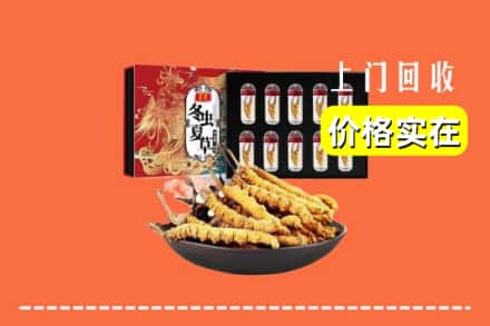 汕尾市海丰回收冬虫夏草